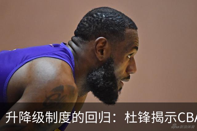 升降级制度的回归：杜锋揭示CBA内忧，外援真能提升联赛水平吗？